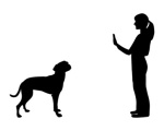 Leistungen Hund See, Beratung Hund See, Hundetraining Baden Württemberg